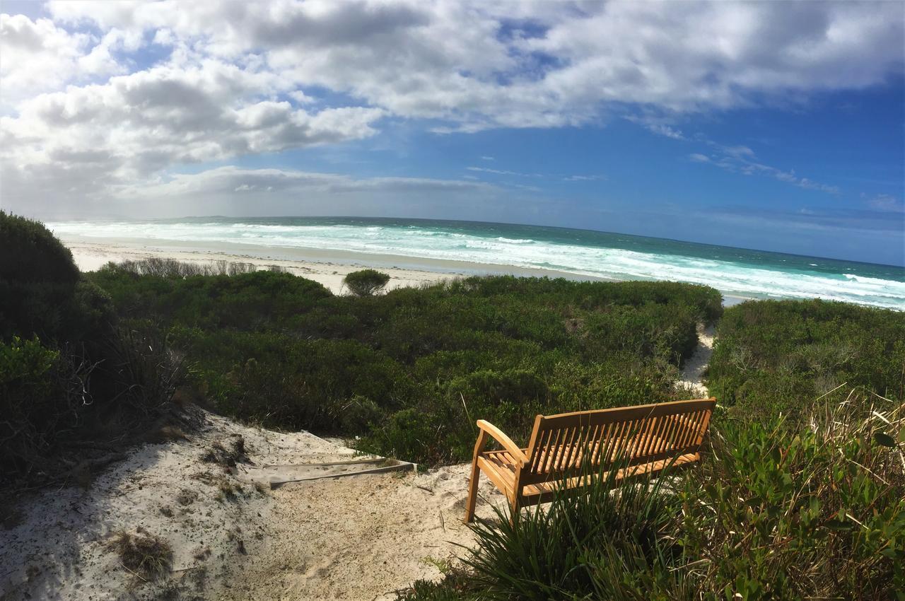 Sandpiper Ocean